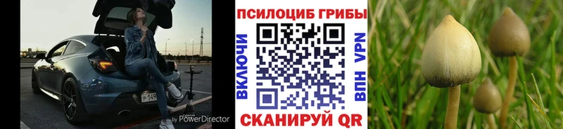 Псилоцибиновые грибы GOLDEN TEACHER  Карталы 